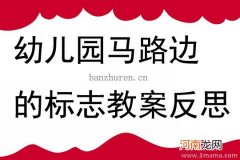 大班社会生活中的标志教案反思