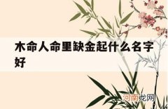 木命人命里缺金起什么名字好_金命缺木怎么取名