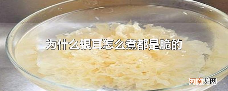 为什么银耳怎么煮都是脆的