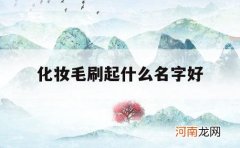 化妆毛刷起什么名字好_化妆刷取什么名字