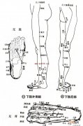 打呼噜特效穴