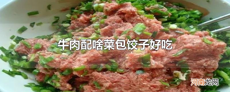 牛肉配啥菜包饺子好吃