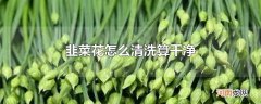 韭菜花怎么清洗算干净