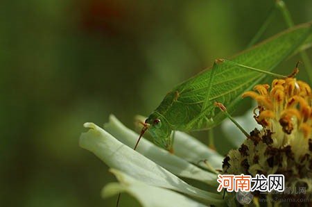 坐月子期间，新妈妈应注意的六大饮食禁忌