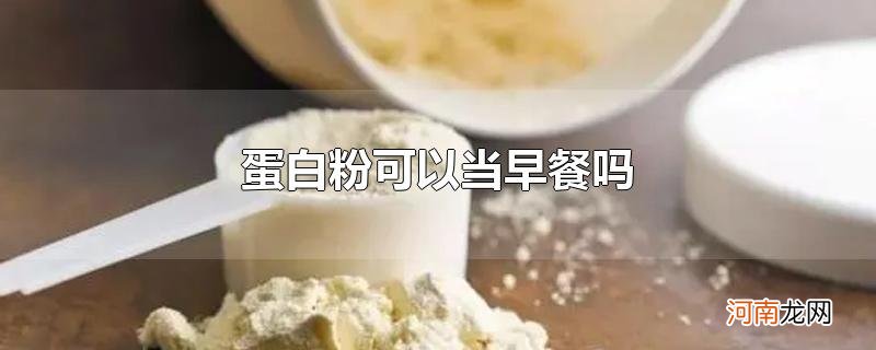 蛋白粉可以当早餐吗