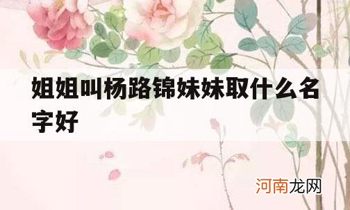 关于姐姐叫杨路锦妹妹取什么名字好的信息