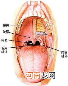 慢性咽炎按摩哪里除根