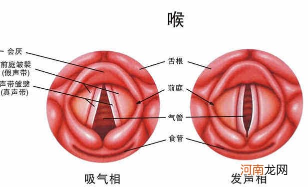 慢性咽炎按摩法视频