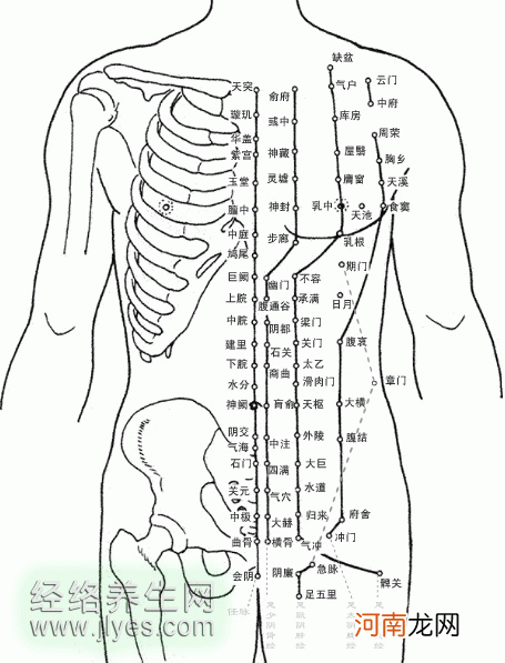 大椎的位置作用及功效