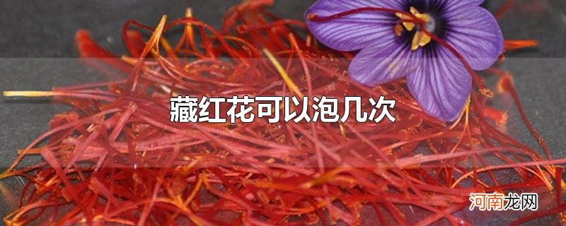 藏红花可以泡几次