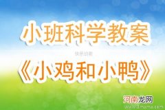 小班社会小鸡和小鸭教案反思