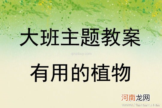 大班主题活动教案：有用的植物教案