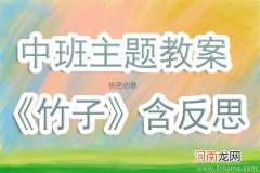 中班主题各种各样的交通工具教案反思