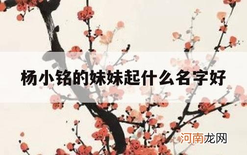 杨小铭的妹妹起什么名字好_杨文铭这个名字好吗