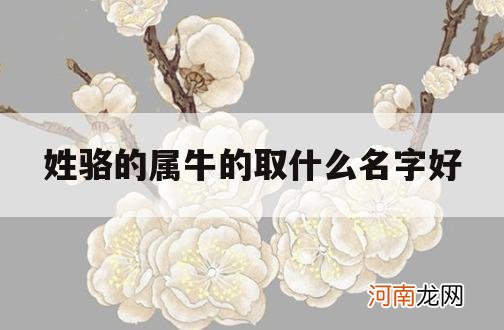 姓骆的属牛的取什么名字好_骆姓属牛宝宝起名