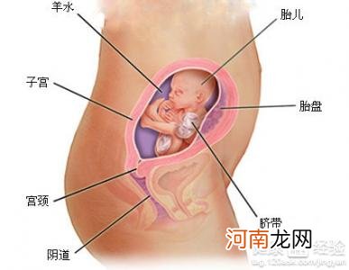 孕第21周胎儿真实图片