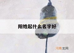 阳姓起什么名字好_阳阳的名字怎么样