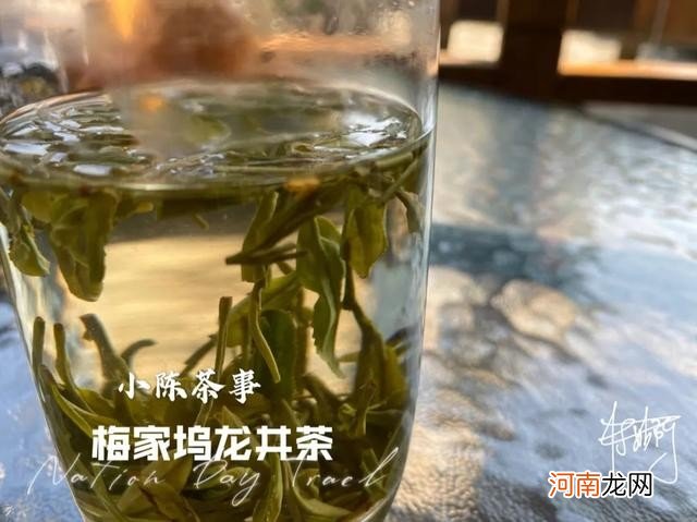 乌龙茶到底是红茶还是绿茶 铁观音是红茶还是绿茶