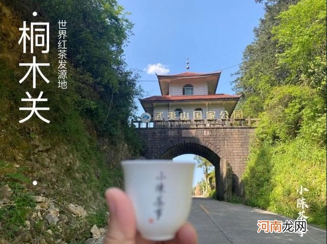 乌龙茶到底是红茶还是绿茶 铁观音是红茶还是绿茶