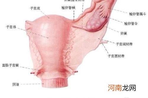 输卵管堵塞怎么能治好 卵管堵塞还有哪些原因造成