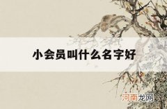 小会员叫什么名字好_小会员是什么意思