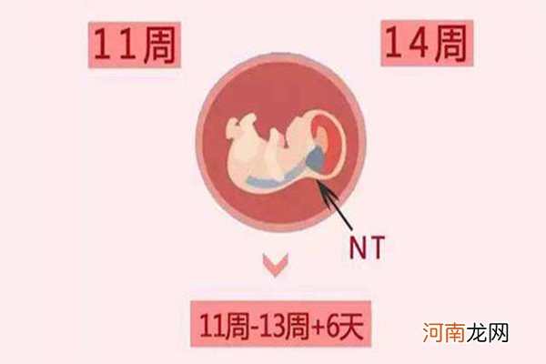 nt一个人做多长时间 nt秒过的是男孩吗