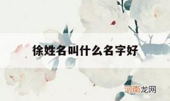 徐姓名叫什么名字好_姓徐取什么名字好