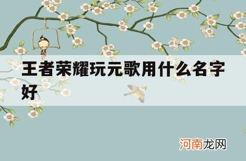 王者荣耀玩元歌用什么名字好_适合元歌的王者荣耀名字