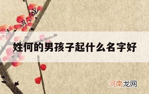 姓何的男孩子起什么名字好_姓何的男孩名字取什么好