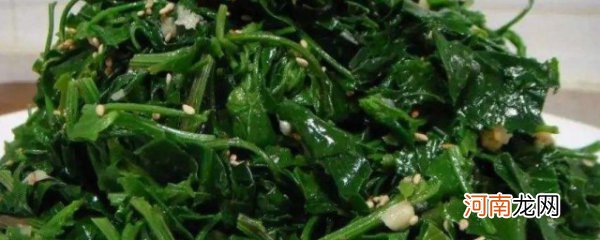 蒸野菜的做法 蒸野菜的做法介绍