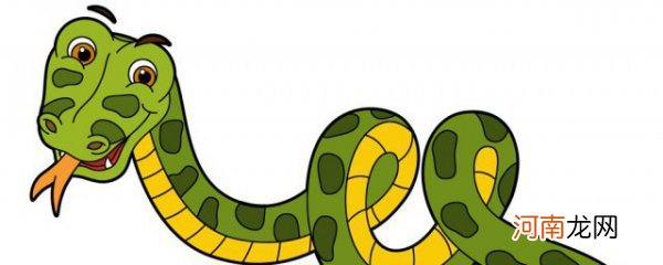 梦见绿色的蛇 梦见绿色的蛇是什么意思