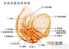 怀孕两个月打胎流程