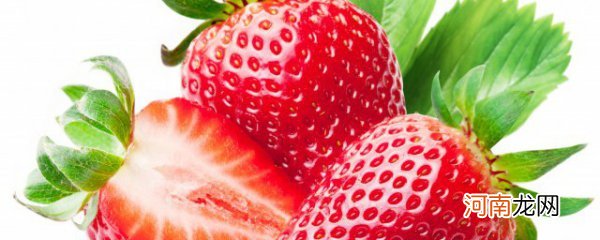 草莓种子怎么种植 如何种植草莓呢