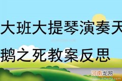 中班音乐活动天鹅教案反思