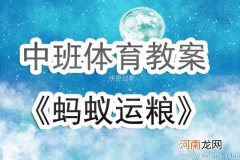 大班健康活动蚂蚁运粮教案反思