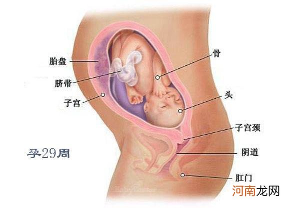 意外怀孕怎么判断孩子健康