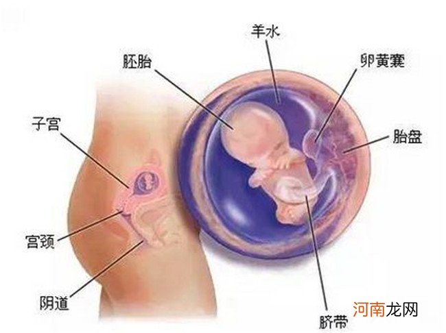 自己在家怎么测怀孕