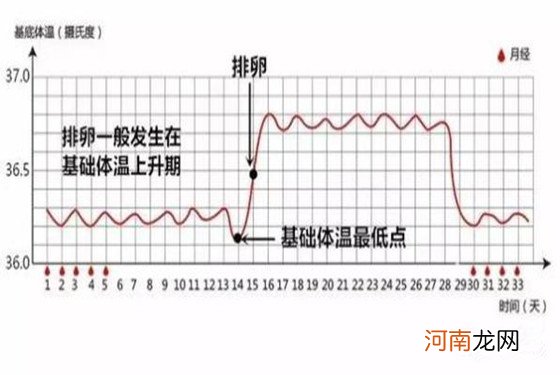 怎么判断哺乳期排卵了的有效方法 值得你去尝试