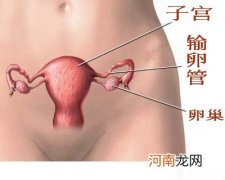 女人下腹疼痛的7大原因