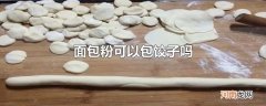 面包粉可以包饺子吗