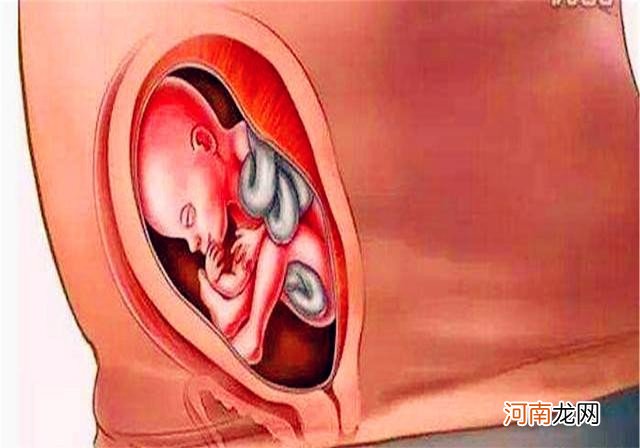 十张图带你看懂胎儿发育成型全过程，都该看看