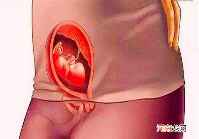 十张图带你看懂胎儿发育成型全过程，都该看看