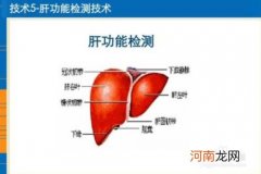 孕期做肝功能检查需要空腹吗