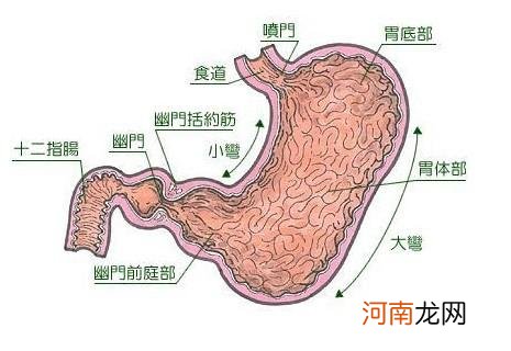 胃气上逆董氏针灸怎么办