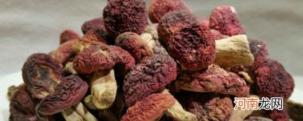 红菇的做法大全家常 红菇的烹饪方法