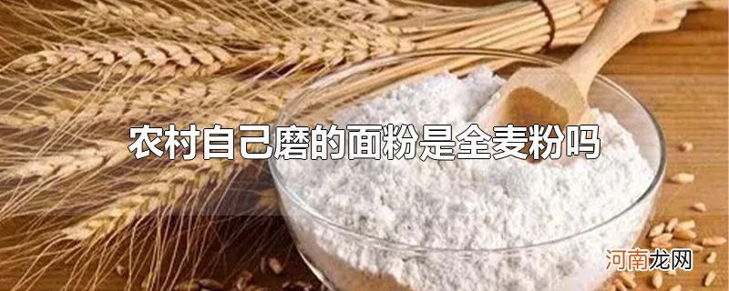 农村自己磨的面粉是全麦粉吗