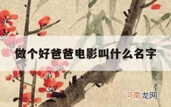 做个好爸爸电影叫什么名字_放一个好爸爸的电影