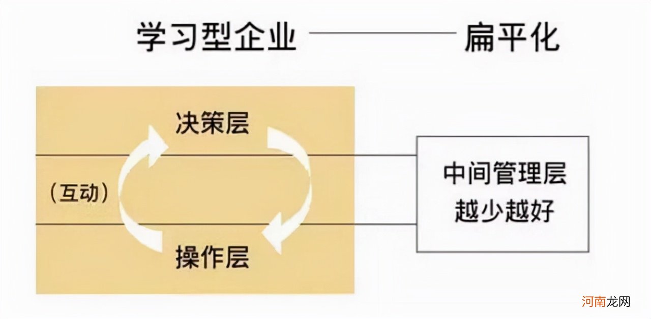 公司组织机构图 小微企业完美组织架构图和职责分享