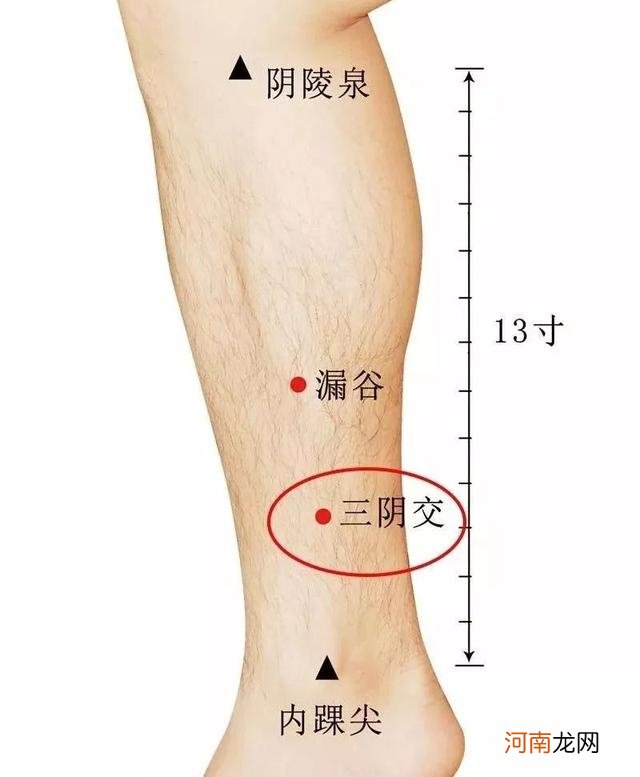 艾灸调理脾胃常用穴位