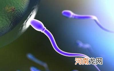 精子形态反映男人生育力